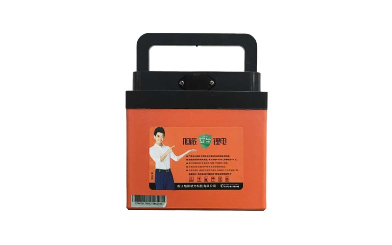 新國標(biāo)48V16-24Ah磷酸鐵鋰電池